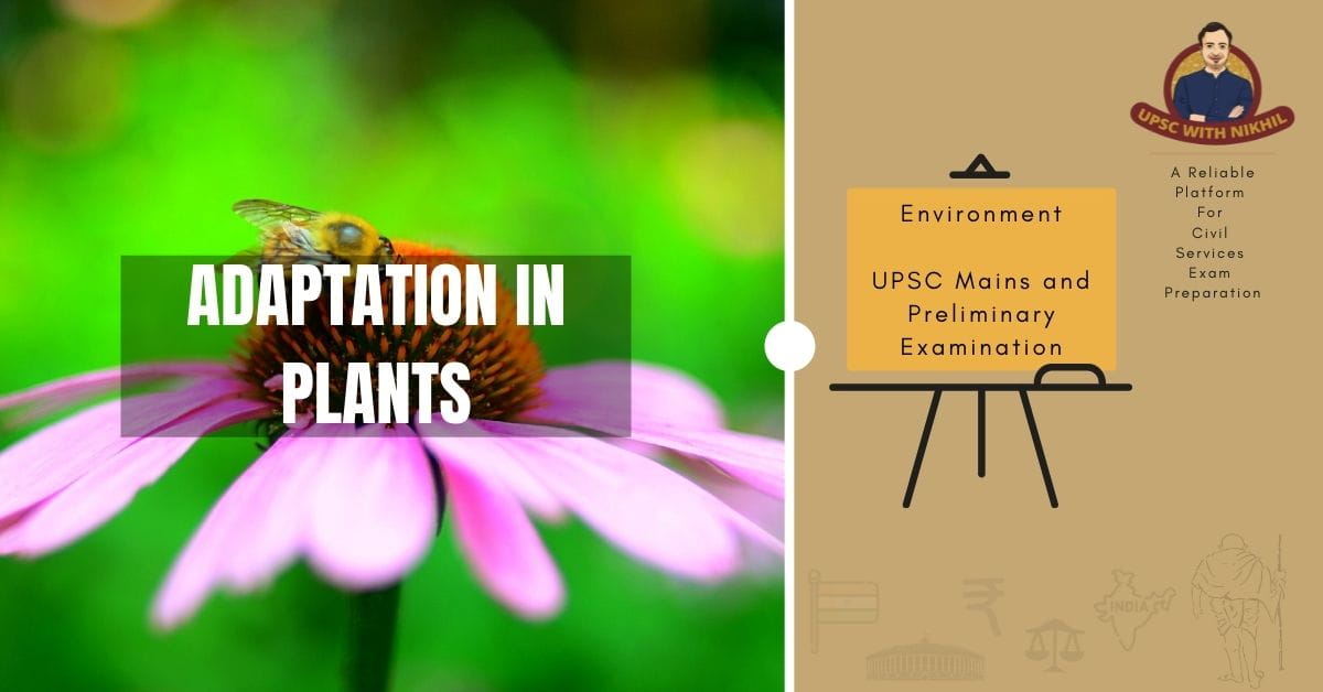 Adaptation In Plants